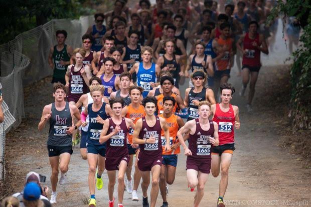 piaa-foundation.jfif