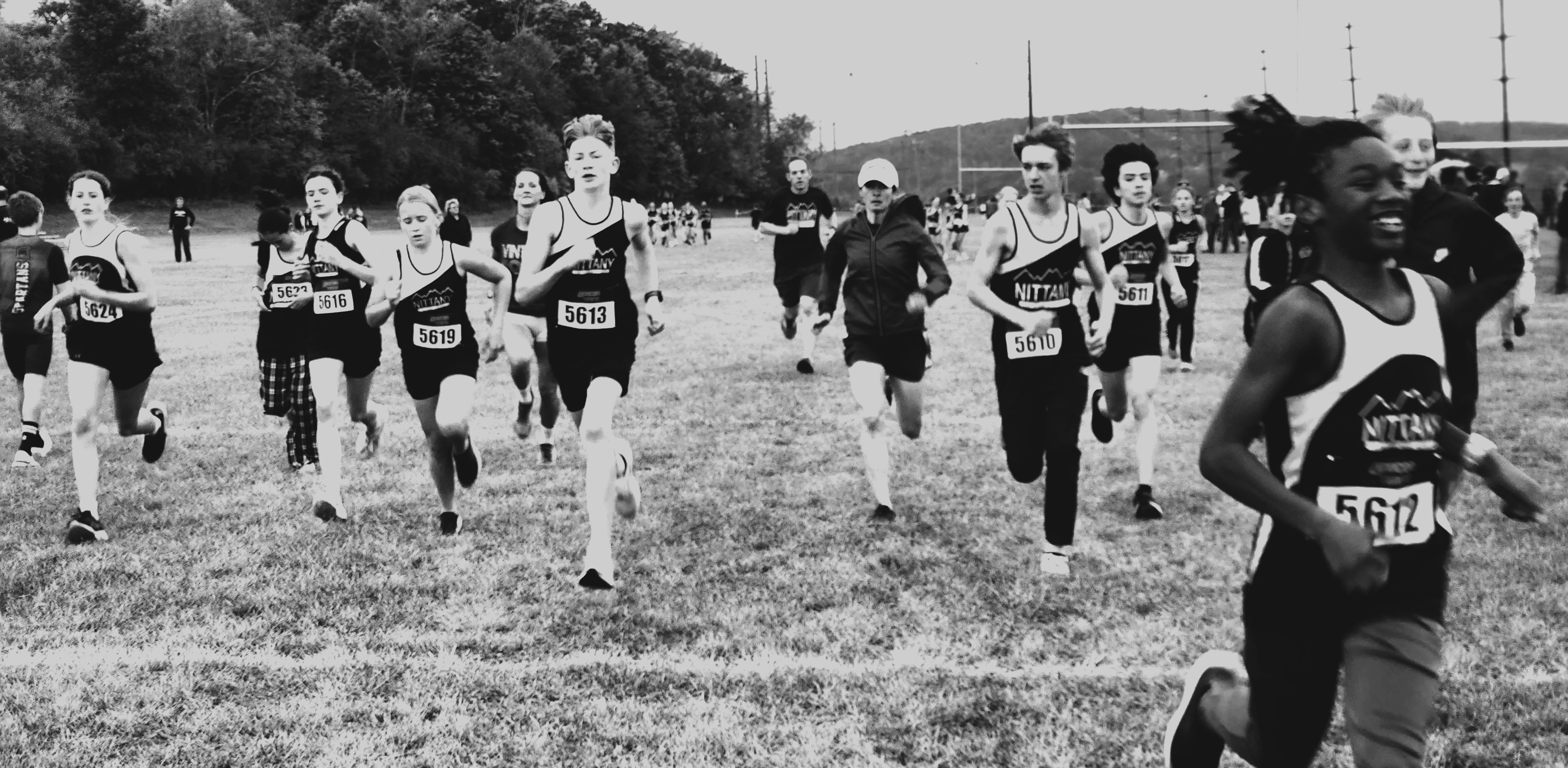 runners
                  running