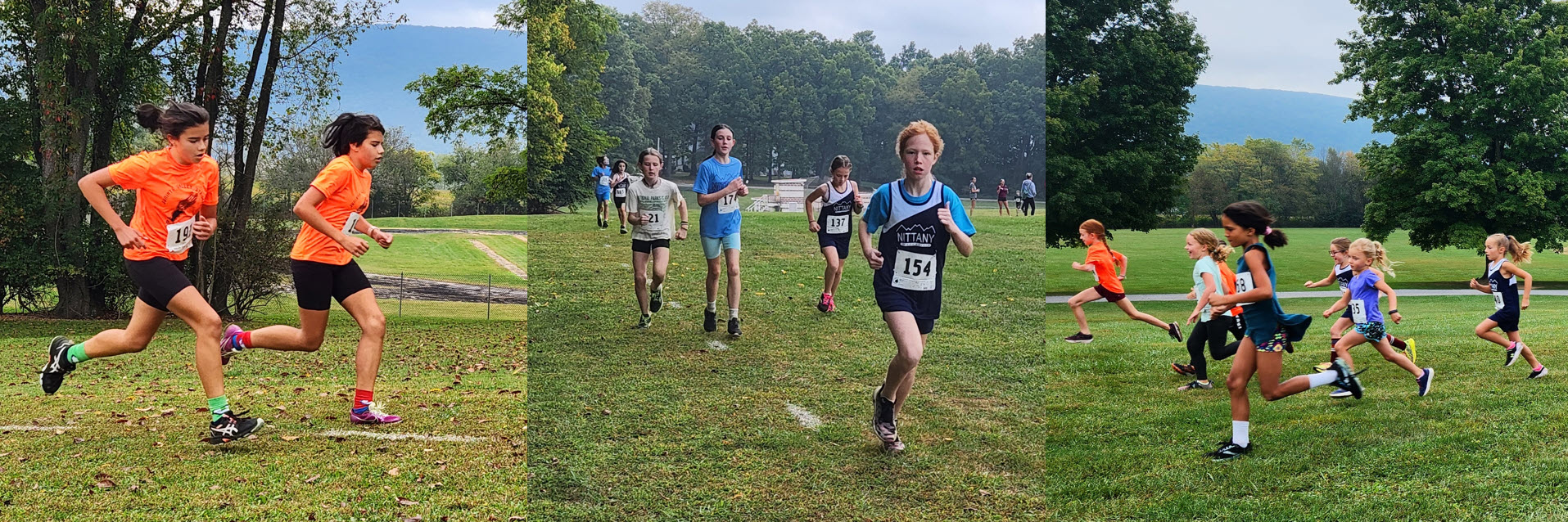 runners
                  running