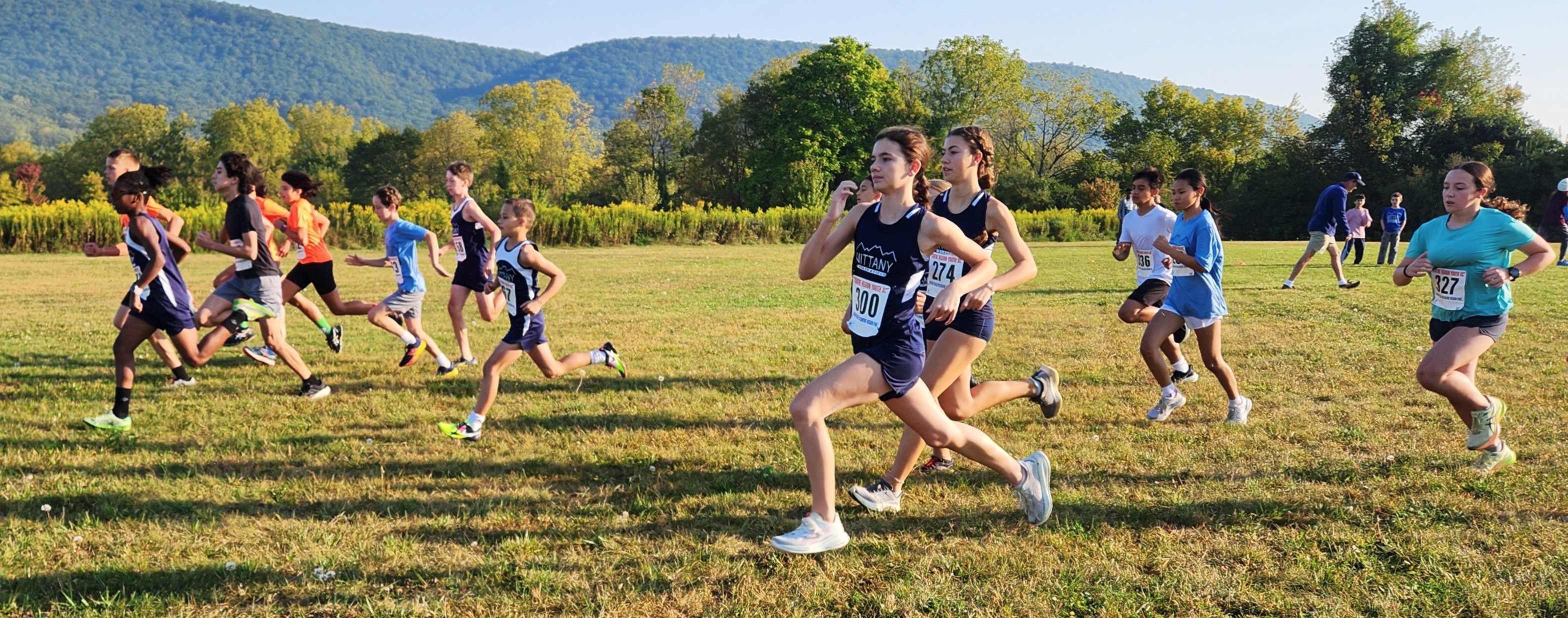 runners
                  running
