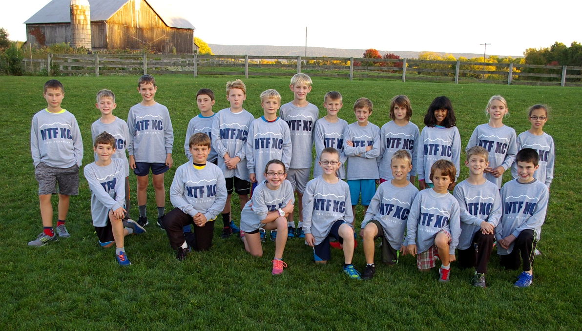 Bantam group NTF