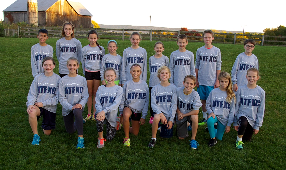 midget group NTF