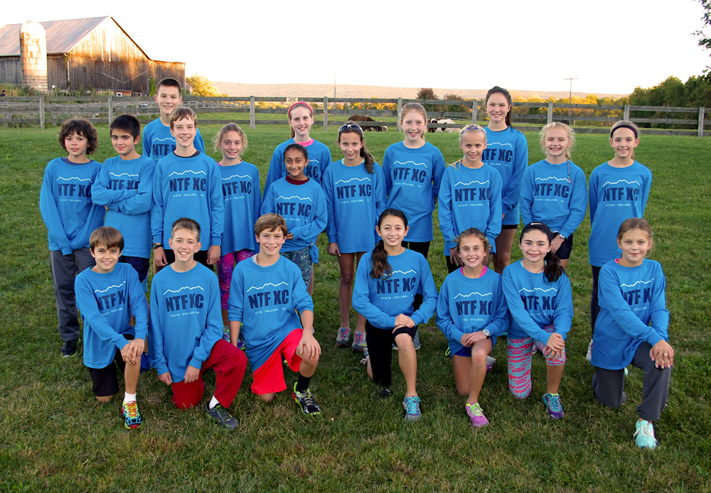 group 11-12